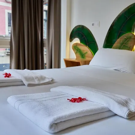 Pension Aliciazzz Bed And Breakfast Bilbao Guest house 2*
