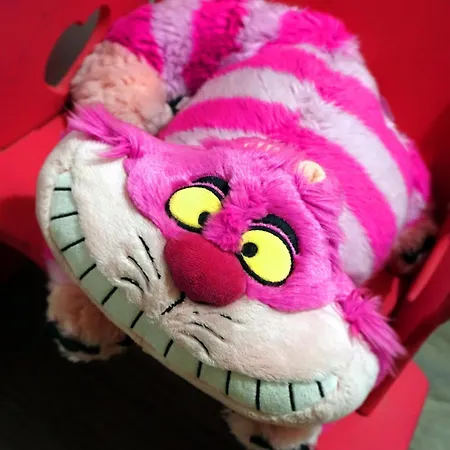 Affittacamere Aliciazzz 2*