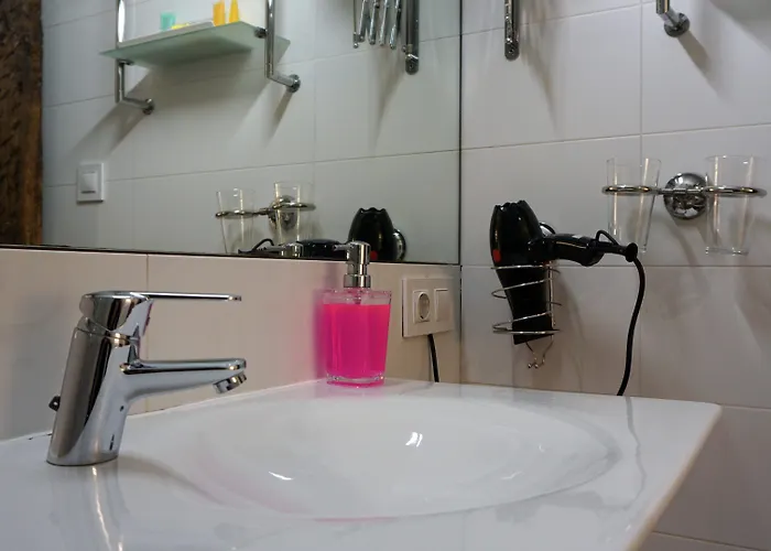 Pension Aliciazzz Bed And Breakfast Bilbao 2* Bilbao